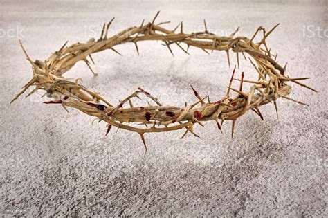 耶穌基督的荊棘皇冠宗教背景復活節符號耶穌基督的十字架 照片檔及更多 復活節 照片 復活節 祭品 一週 Istock