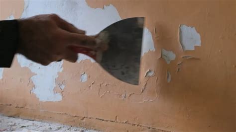How To Remove Latex Paint From Wall 4 Easy Methods Homepander