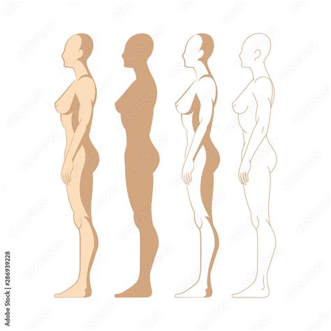 Human Body Side View Drawing