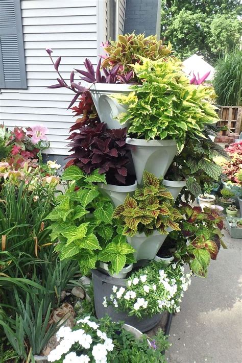 Indoor Gardening Tips Small Backyard Gardens Container Gardening