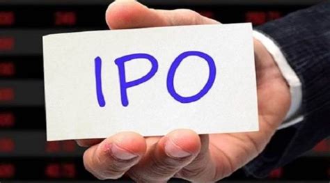 Vc And Pe Investors Net 5 3 Bn In Exits From Indian Start Up Ipos Ipo News The Financial Express