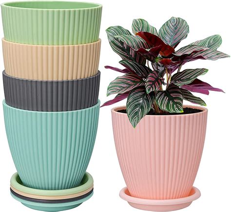 6 Inch Plastic Planters With Trays Set Of 5 Upgrade Plant Pots With