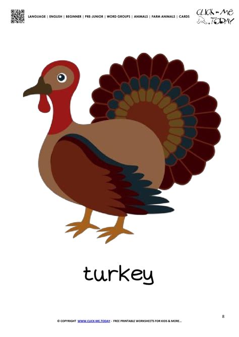 farm animal flashcard turkey printable card  turkey