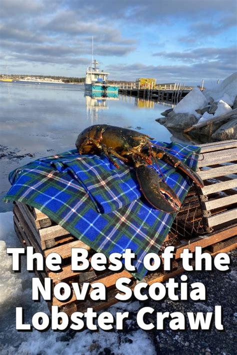 The Best Of The Nova Scotia Lobster Crawl Festival Nova Scotia Explorer