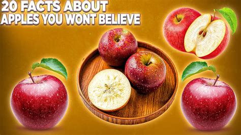 20 Fascinating Facts About Apples You Never Knew Youtube