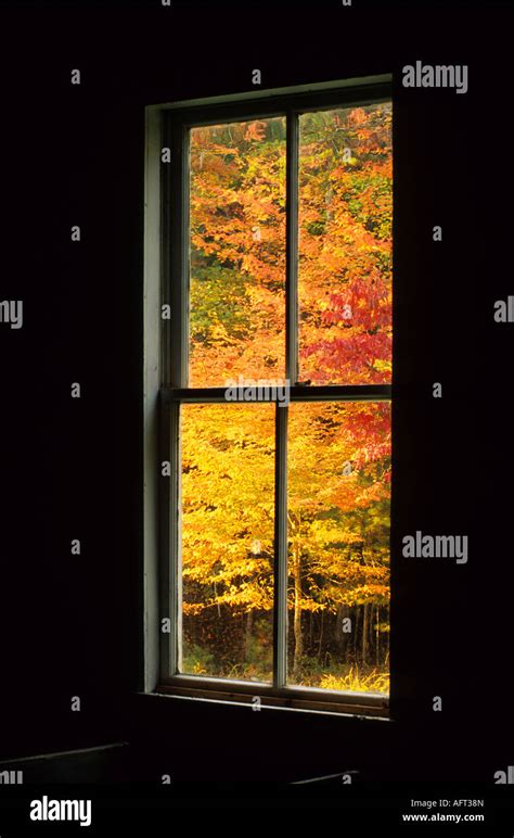 Autumn Colors Through Window Stock Photo Alamy