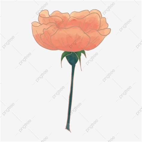 Flowers Blooming Clipart Vector Red Blooming Flowers Illustration Red