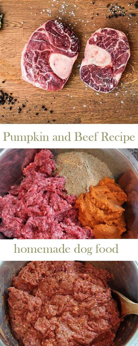Add the pureed veggie and fruit mixture to the meat mixture and mix well to incorporate. Pumpkin & Beef Recipe - Top Homemade Dog Food 2018# ...