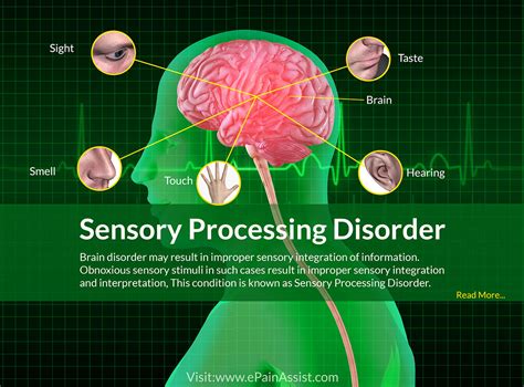 Sensory Processing Disorder Spd Improper Sensory Integration Explained