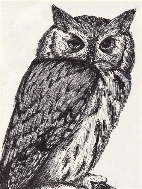 Animal Ink Drawings Pen And Ink Drawings Of Animals Pen And Ink Owl