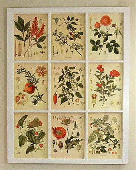Botanical Poster Botanic Illustration Print Set Botanical Etsy