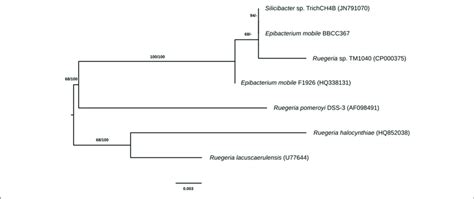 Phylogenetic Tree Of Closely Related Species To E Mobile The