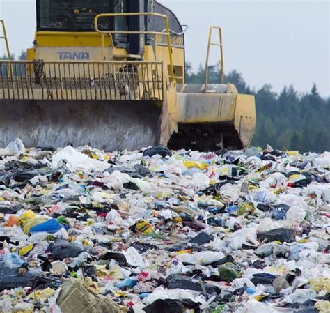Apa Itu Sampah Jenis Sampah Dan Apa Dampaknya Bagi Kita Info Cara