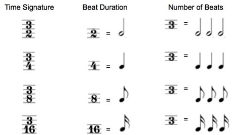 Rhythm Basics Beat Measure Meter Time Signature Tempo Images And