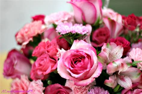 Check spelling or type a new query. Support Breast Cancer Awareness with Flowers