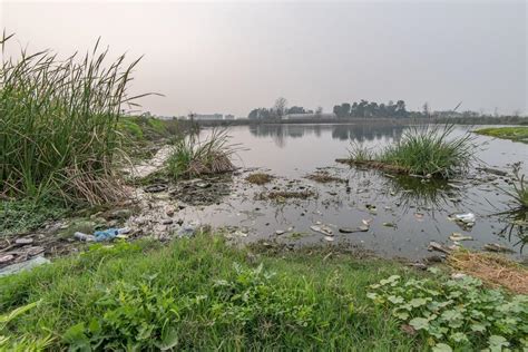 Revitalizing Natural Water Sources In Rural Punjab Village Ponds