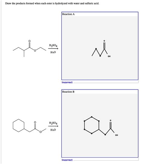 Draw The Products Formed When Each Ester Is Hydrolyze Solvedlib