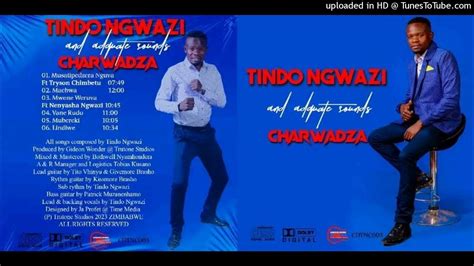 Tindo Ngwazi Ft Tryson Chimbetu Musatipedzera Nguva Charwadza Album