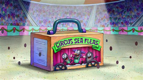 Circus Sea Fleas Encyclopedia Spongebobia Fandom