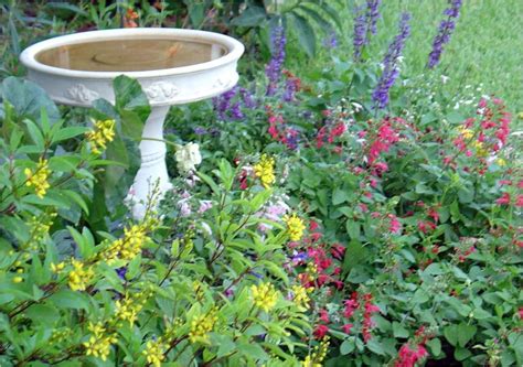 10 Butterfly Garden Ideas Most Elegant And Stunning Butterfly Garden