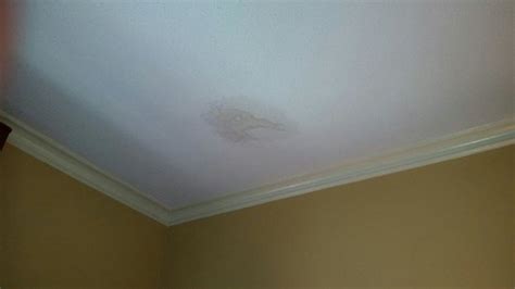 Use them in commercial designs under lifetime, perpetual & worldwide rights. Water stains on ceiling - Picture of Omni Parker House ...