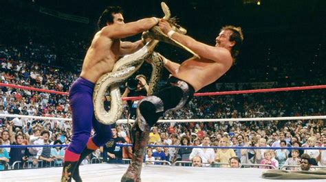 Ricky The Dragon Steamboat Vs Jake The Snake Roberts And Other