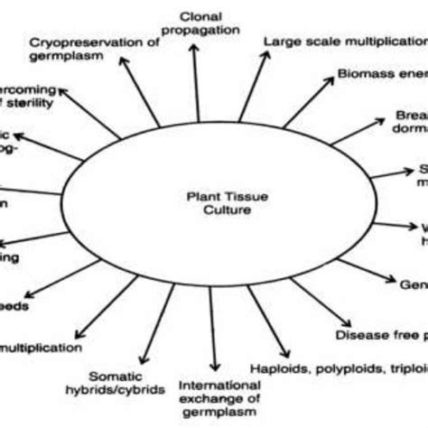1902 ●● the biologics control act like plant cell culture, insect cell culture is being investigated as a production method of therapeutic proteins. (PDF) Agricultural Biotechnology: current status and ...
