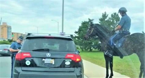 State Police Horse Assists In Traffic Stop In Lynn Itemlive Itemlive