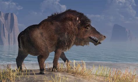 The Largest Prehistoric Pig Was Taller Than A Horse Az Animals