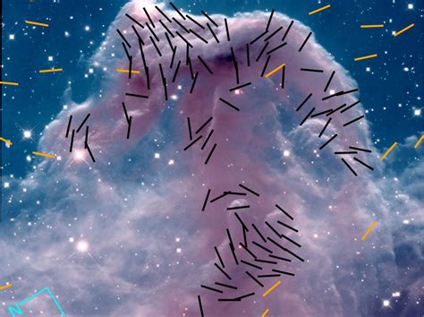 New Images Reveal The Magnetic Fields In The Horsehead Nebula