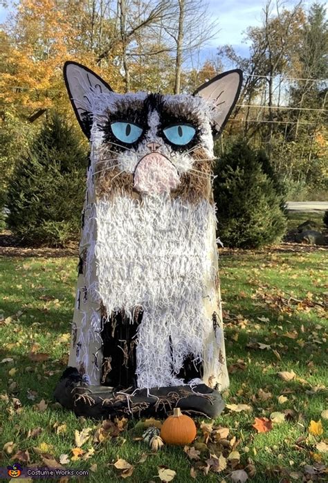 Grumpy Cat Costume Diy Costumes Under 45