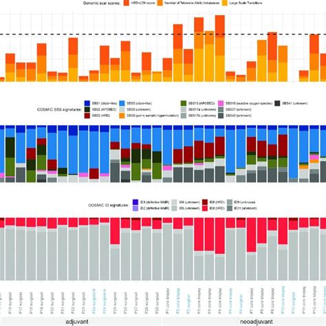 Somatic Mutational Patterns Statistical Patterns Of All Somatic Download Scientific Diagram