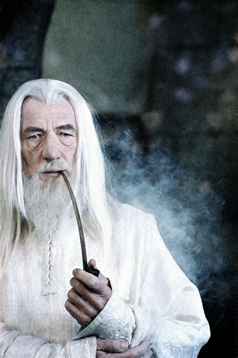 Tabbyinlove Gandalf The White Lord Of The Rings The Hobbit