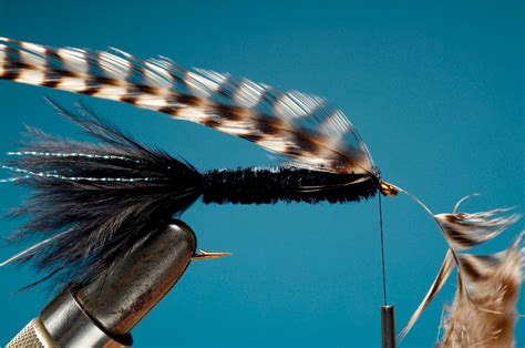 Fly Tying Sequence Woolly Bugger