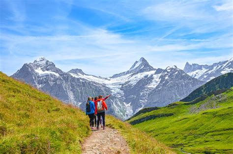 Het zwitserse departement van statistiek onderscheidt de volgende 7 regio's, waar een strikte scheiding naar kantons wordt gehandhaafd: Landschap in Zwitserland stock afbeelding. Afbeelding bestaande uit weide - 23207029