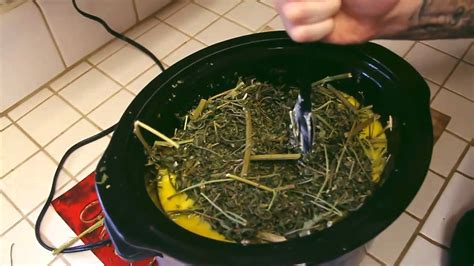 Add the marijuana once the butter has melted. How to Make Weed Butter ( Budder / Pot Butter ...