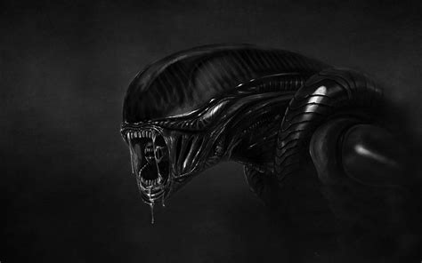 Sci Fi Alien Hd Wallpaper 11523 Wallpaper Bison