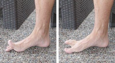 The tendons are thick bands that connect muscles to bones. Exercises for Flat Feet - Fix Flat Feet