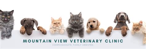 Mountain View Veterinary Clinic 441 Reviews Veterinarians In