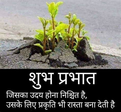 We did not find results for: Pin by Jitendra Kapoor on Hindi message | Motivational ...