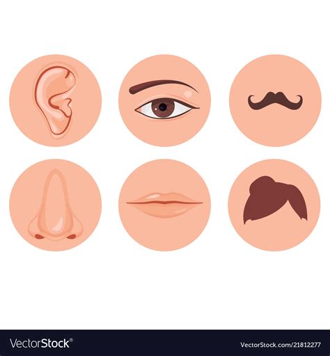 Human Nose Ear Mouth Mustache Hair And Eye Set Vector Image