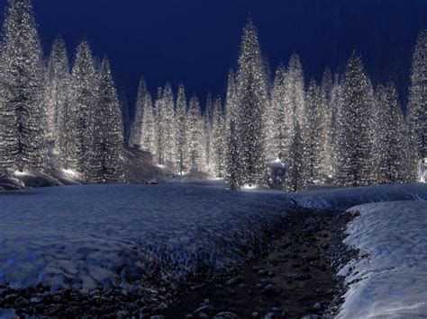 A Beautiful Winter Wonderland Christmas Scenery Christmas Landscape