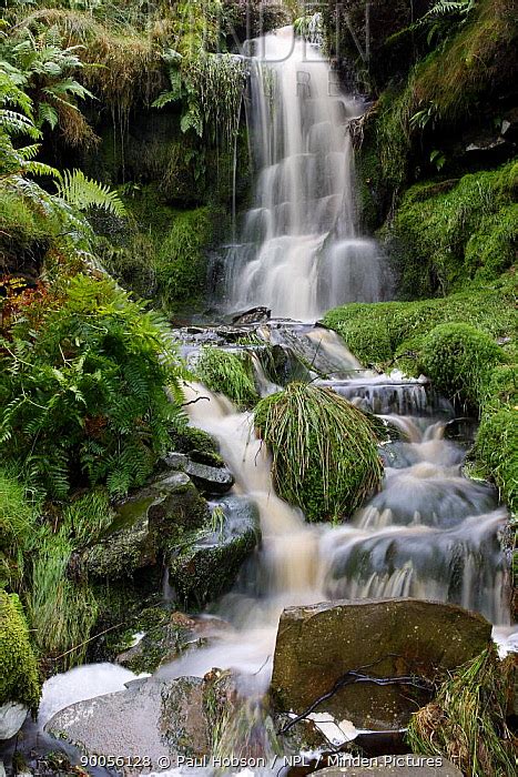 Minden Pictures Waterfall Kinder Scout Peak District Np Derbyshire