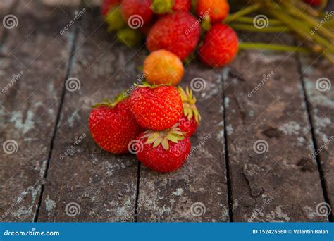 A Closeup View Of Strawberries Stock Photo Image Of Bright