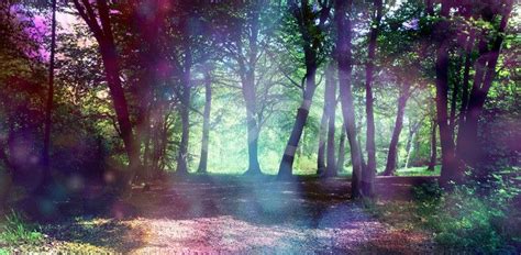 Magical Fairy Forest With Ethereal Light Surreal Fantasy Woodland