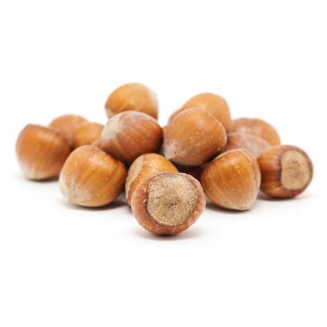 Filberts In Shell Nuts Wholesale Bulk Nutsite