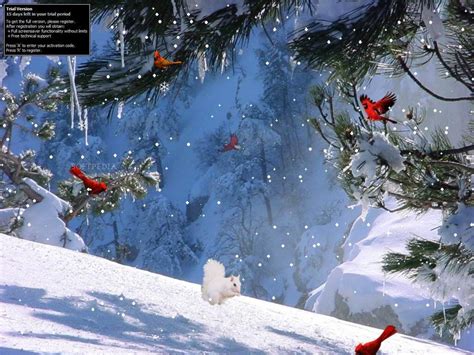 Free Download Winter Screensavers And Wallpapers 1024x768 For Your