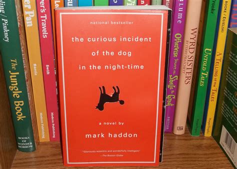 The Curious Incident Of The Dog In The Nighttime Carolineewasalazar