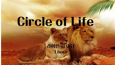 1시간반복 라이온킹 Circle Of Life 1시간 Youtube