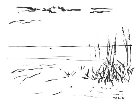 Bayside by Robert Tarnay | Canvas Tokyo - Creative Platform
